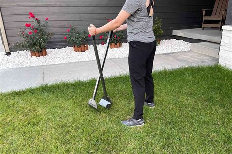 pooper scooper larkspur|The 5 Best Pooper Scoopers of 2024, Tested and Reviewed.